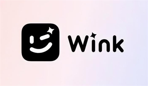 Wink软件怎么去除字幕_Wink软件去除视频字幕方法介绍