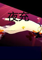 夜充