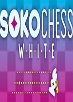 索科国际象棋白
