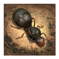 蚂蚁模拟器地下蚁国2手机版